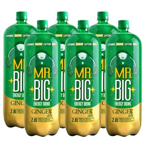 HB_WEB_MRBIG_ginger2litrosx6